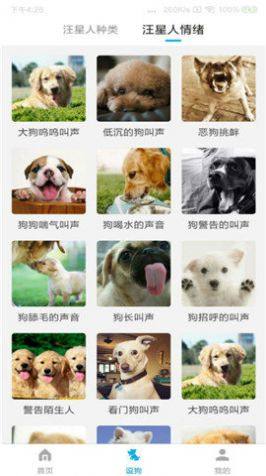 动物翻译器中文版免费图2