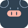 小猪翻译器软件app下载 v1.0.1