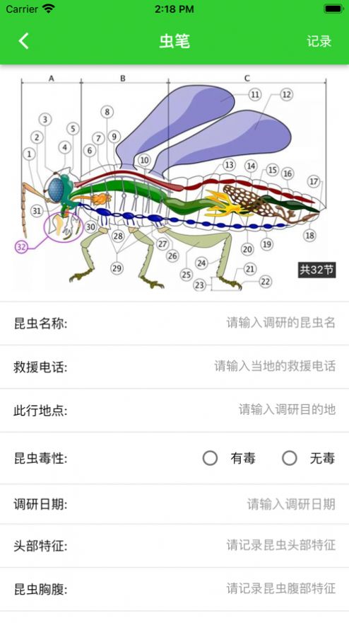 虫笔app图2