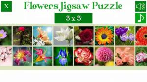 花卉拼图谜题游戏官方版图片1