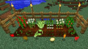 像素方块王者最新手机版图片1