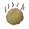 Durian Fight游戏