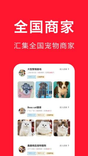 宠物宝app图2