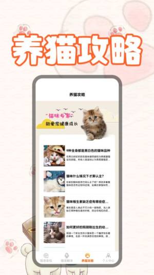 猫翻译软件app图1