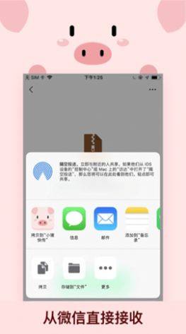 小猪快传app安卓版下载图片1