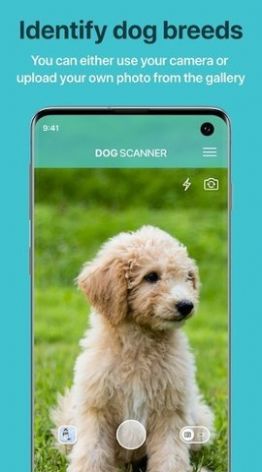 狗狗鉴定器app图2