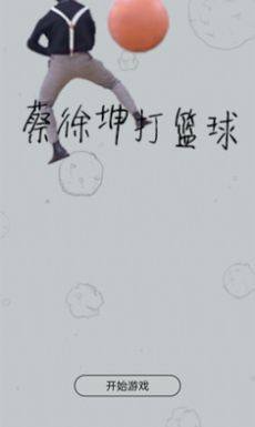 蔡徐坤大战飞机游戏安卓版图片1