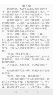 镇国小说官方下载app图片1