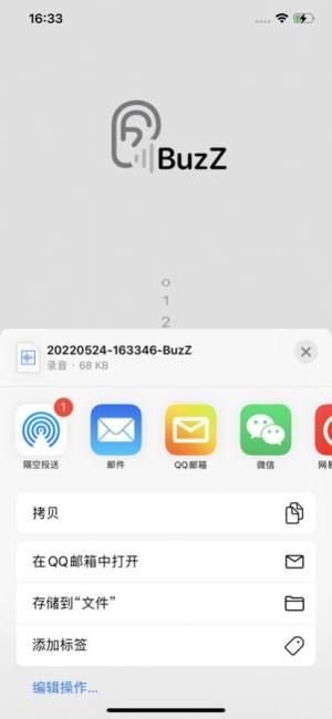Buzz 声声麦克风app手机版图片2