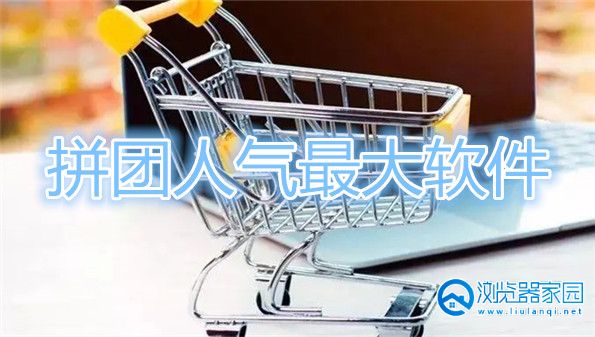 拼团人气最大软件