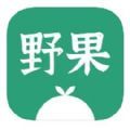 野果阅读app安卓官方下载 v1.0.2