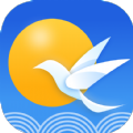 云雀天气安卓版app v1.0.0