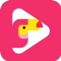 犀鸟视频app手机版下载 v1.0.1