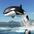 鲸鱼生存模拟器游戏最新手机版 v1.0