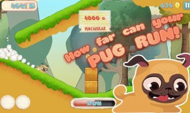 Pug Run游戏图2