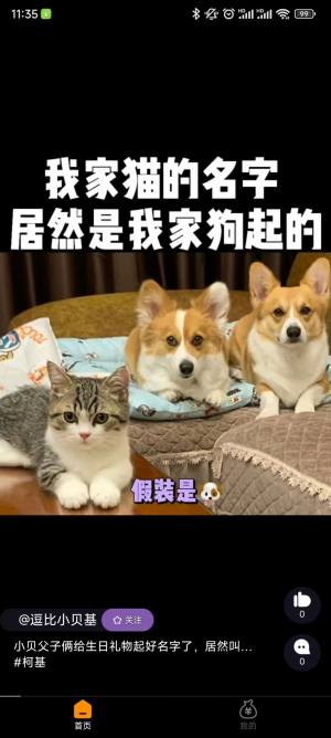 华埔企学堂企业版app下载图片2