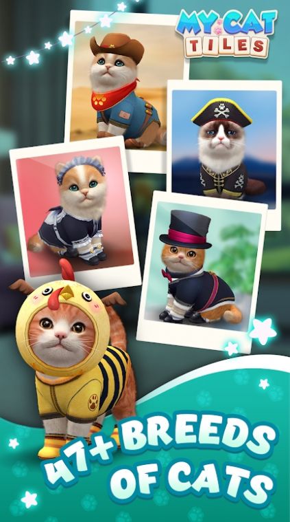 我的猫猫生活游戏图1