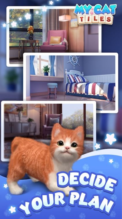 我的猫猫生活游戏图3