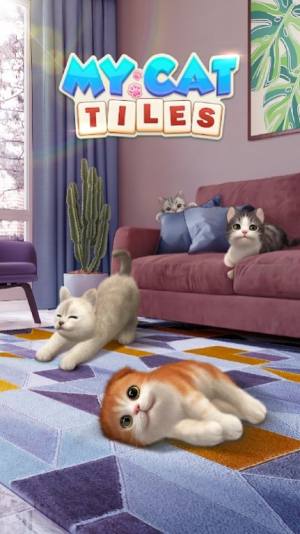 我的猫猫生活游戏官方版图片1