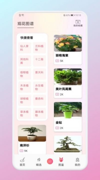 养花大掌柜app图3