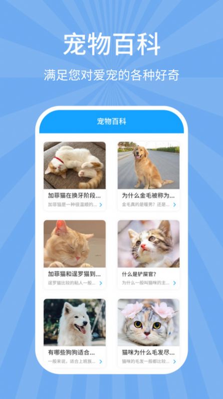 狗猫翻译器官方最新app图片2