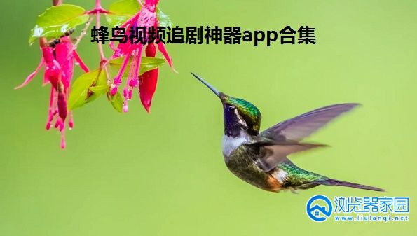 蜂鸟视频追剧神器app合集