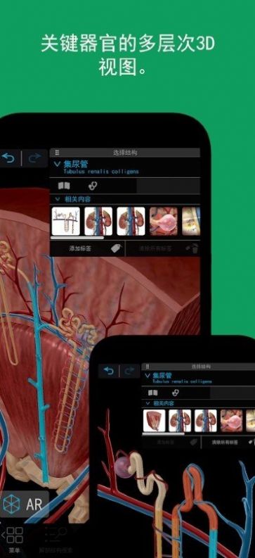 2023人体解剖学图谱app官方版图片1