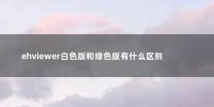 白色e站和绿色e站有什么区别   白色e站和绿色e站哪个好图片1