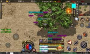 万和雷霆二合一手游官方安卓版图片1