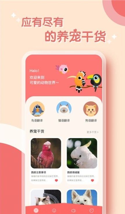 鹦鹉翻译器app图3