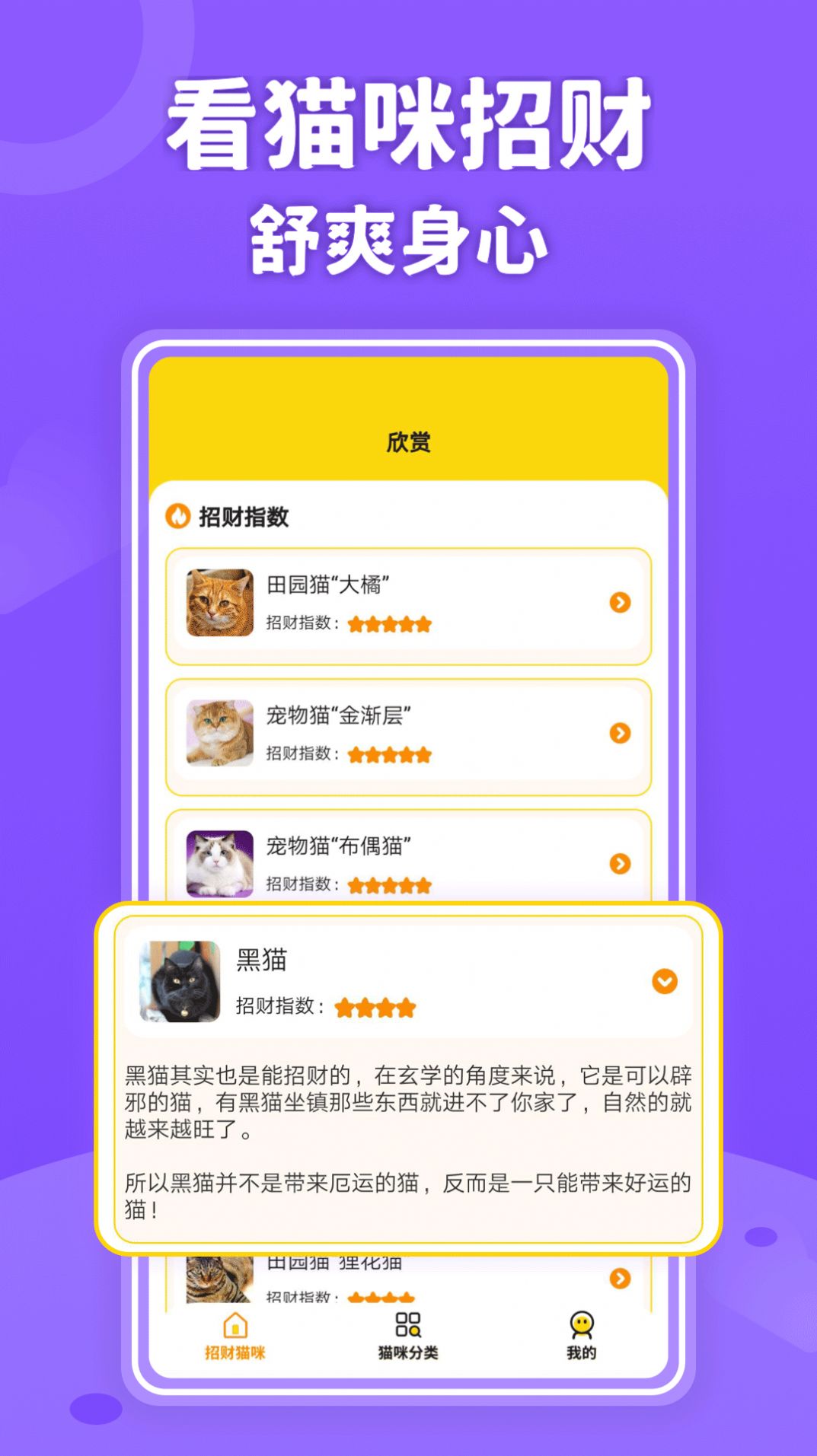 招财进猫app图2