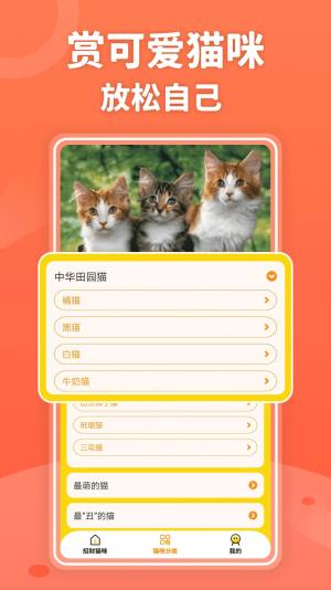 招财进猫app最新版图片1