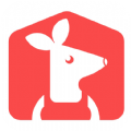 袋鼠就业app安卓手机版 v1.0.0