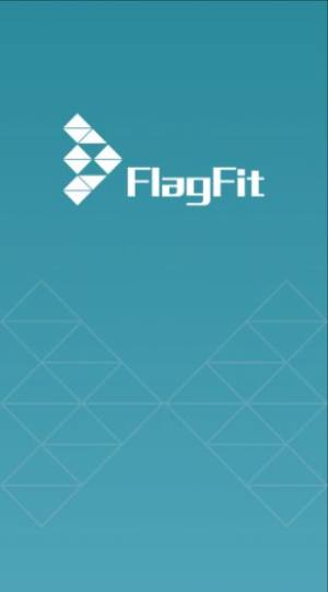 flagfit app图3