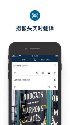 deepl安卓版图2