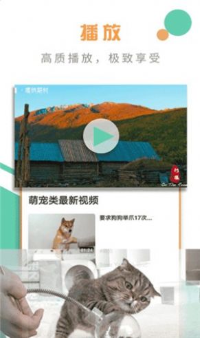 椰子视频apk最新版图3