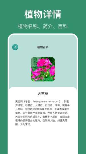 花仙识花草app图3