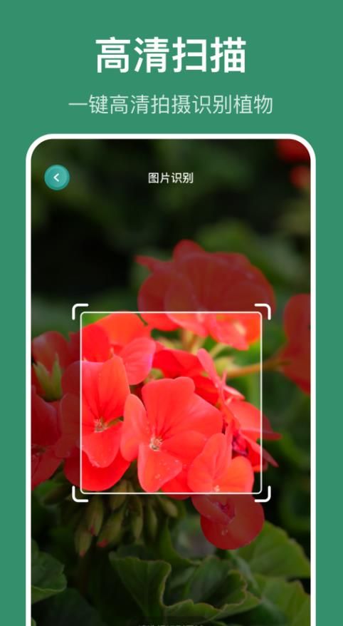 花仙识花草app图2