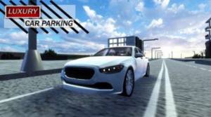 豪华停车模拟游戏图3