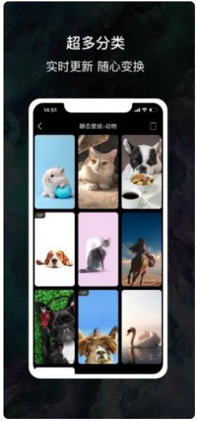 4K酷潮壁纸app最新版图片1