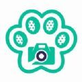 豆猫水印相机app最新版 v1.04