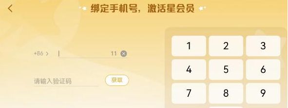 2023王者荣耀星会员在哪里开通   2023最新王者会员入口图片4