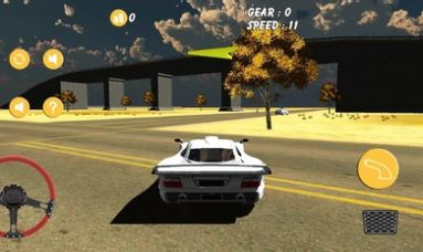 沙漠汽车模拟器游戏安卓版图片1