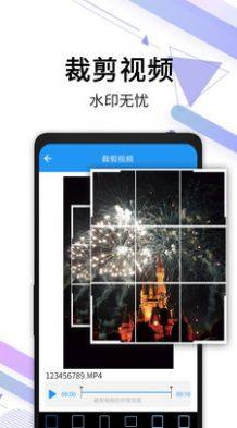 视频去水印宝app图3