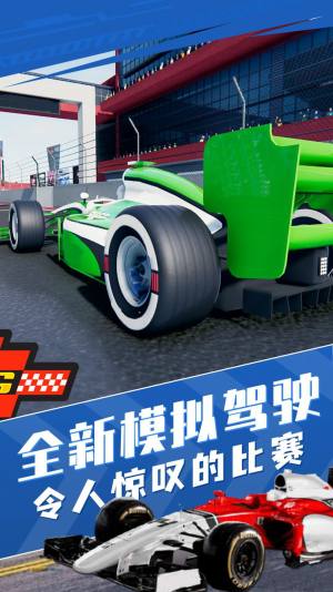 真实狂飙赛车模拟游戏官方最新版图片2