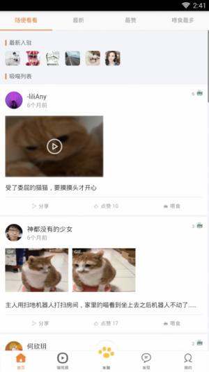 养猫圈app图2