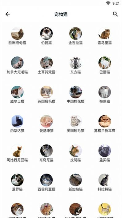 Animals Plants Treasury app图3