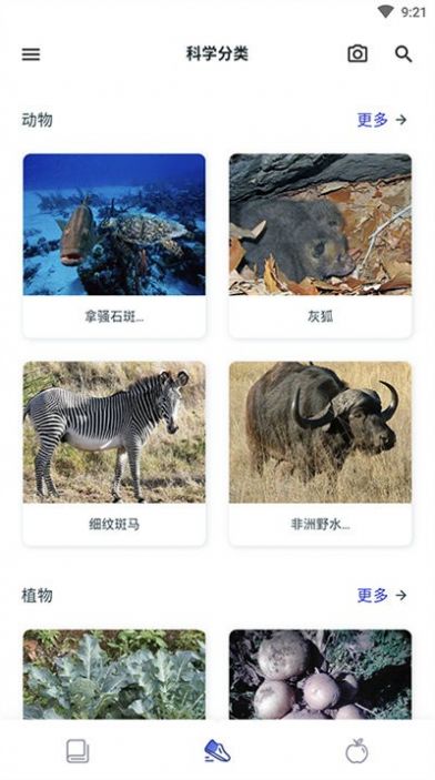 Animals Plants Treasury动植物大全app软件下载图片1