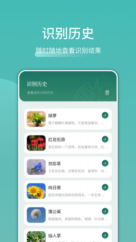 识花识物app图3