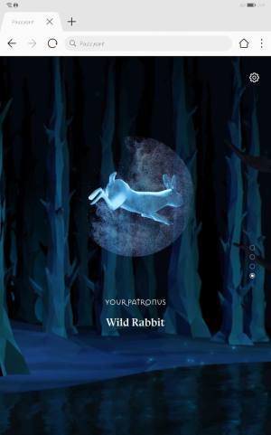 pottermore官方中文版测试2024图片1